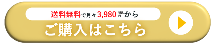 ご購入はこちらから